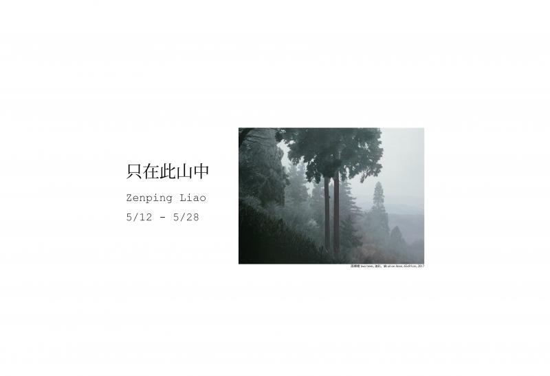 只在此山中
