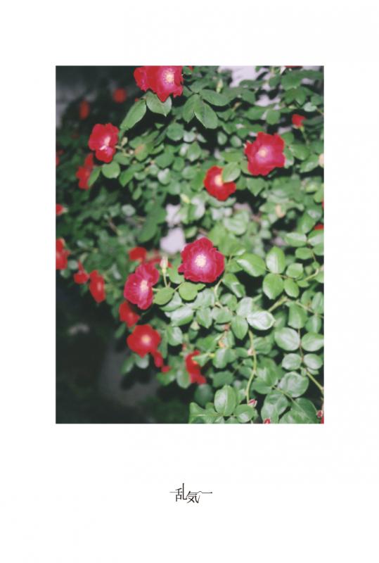 佐藤正明写真展「乱気/粉々」
