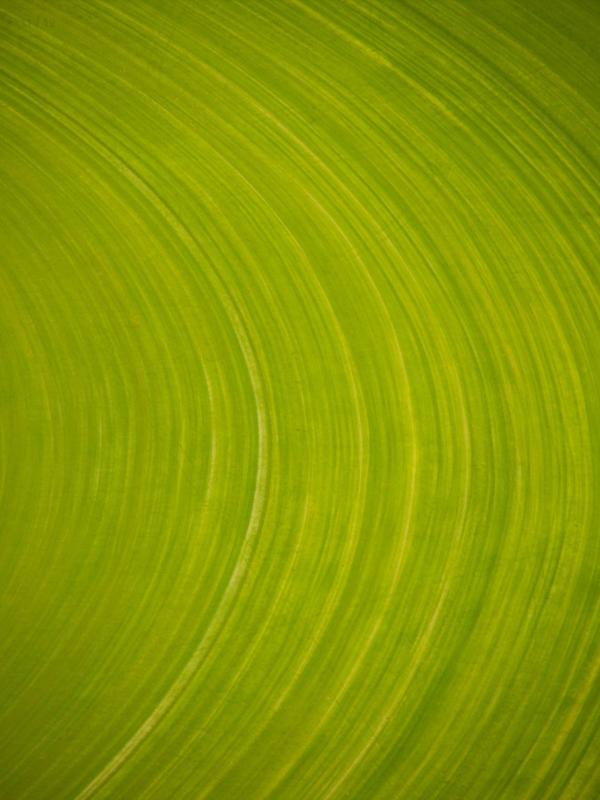 Australian Biotope - Colours from Nature -