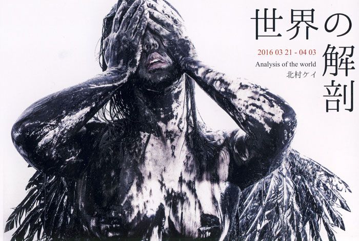 北村ケイ写真展　「世界の解剖」