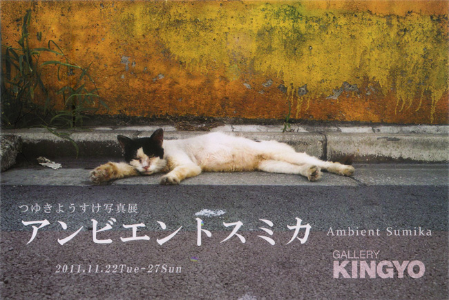 つゆきようすけ「Ambient Sumika」
