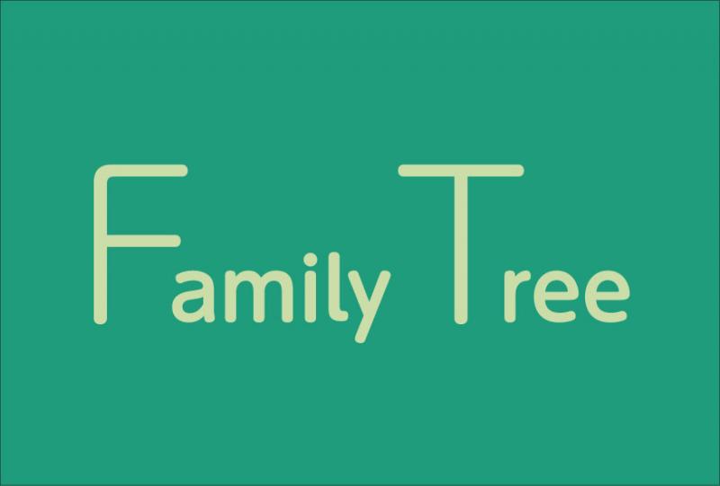 かみむらみどり展　Family Tree