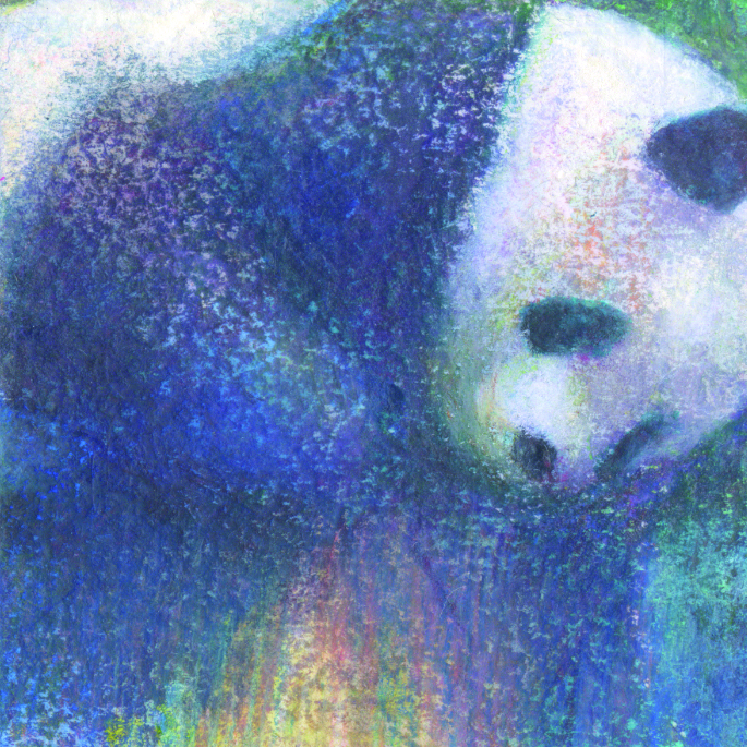 権守ひかる