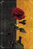 『美女の館』装飾世界の誘惑 〜女性作家のさらなるイマジネイション〜