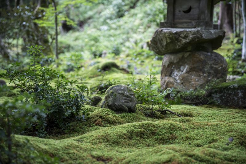 「そうだ 京都、行こう。」2018年初秋「モシュ印・コケ寺リウム」三千院