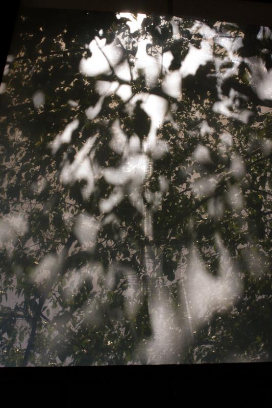 西山功一写真展「strawberry wine」