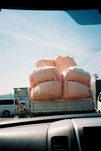 浅井文昭 写真展「VIVA LA SNAP」