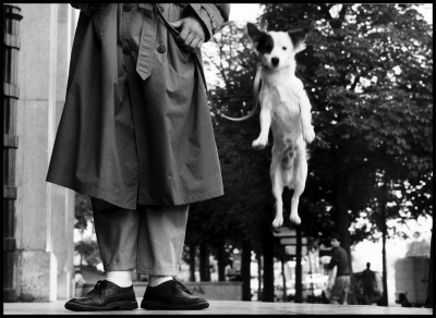 Elliott Erwitt写真展『Dog Dogs等』