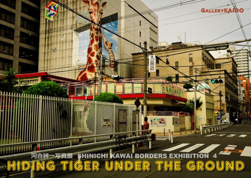 河合紳一写真展  HIDING TIGER UNDER THE GROUND