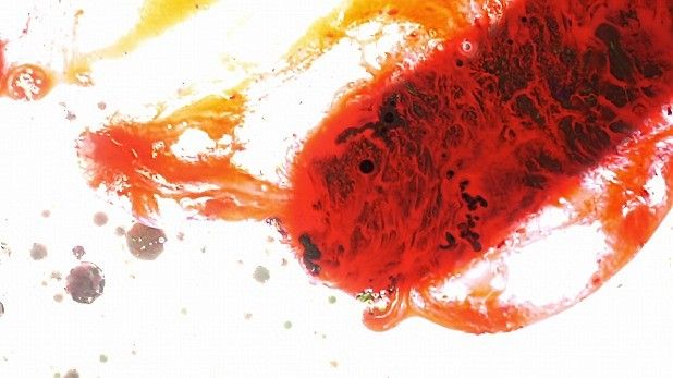 Gallerist’s Eye #2 藤崎 了一　「Vector of Energy」