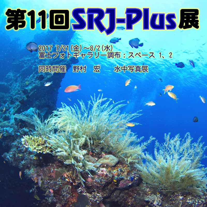 第11回SRJ-Plus展