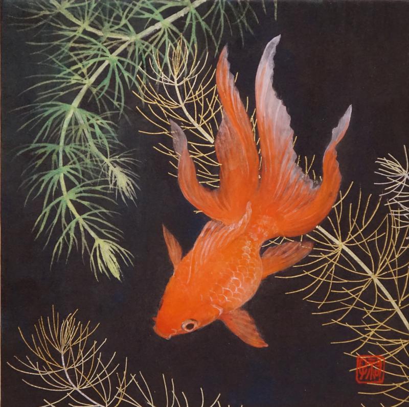 金魚 | 個展なび