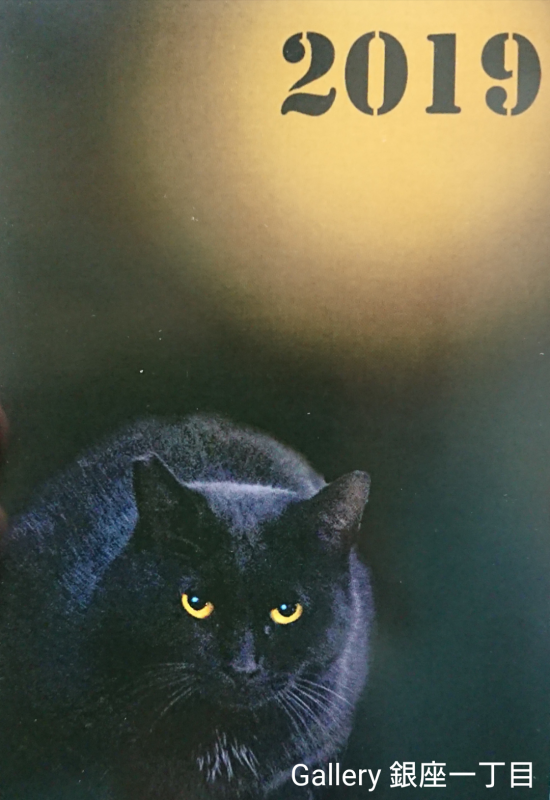 「黒猫展」