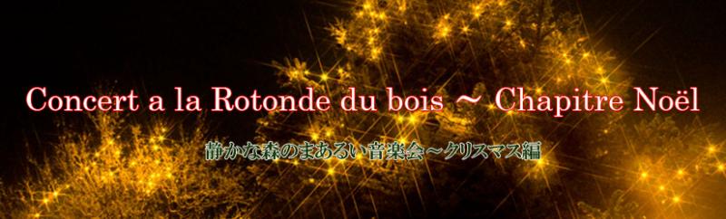 静かな森のまあるい音楽会～クリスマス編