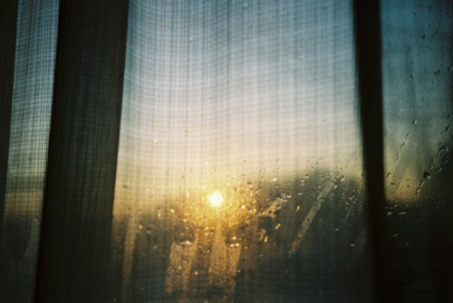 photo exhibition -フェルト-