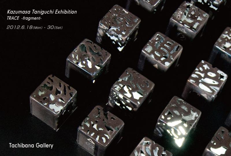 谷口和正 展  TRACE  -fragment-