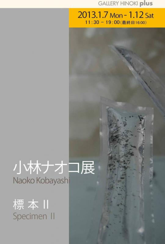 小林ナオコ展　標本Ⅱ
