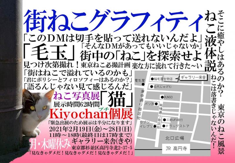 街ねこグラフィティ