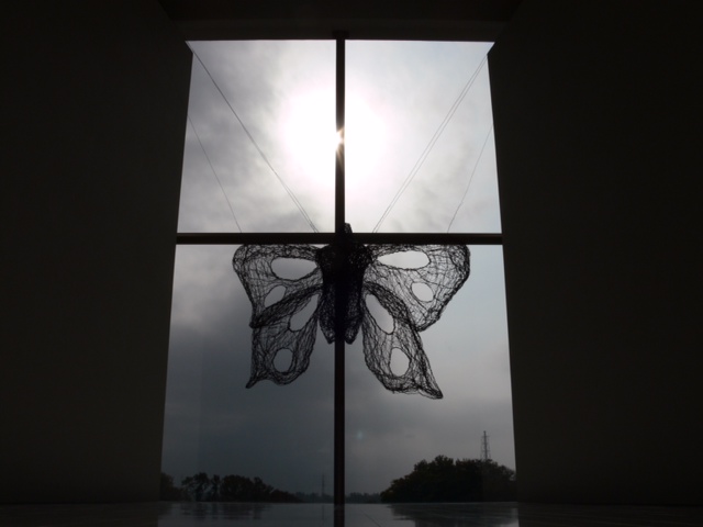 川井健司 作品展　-ユメ- Kenji Kawai Exhibition -dreaming-