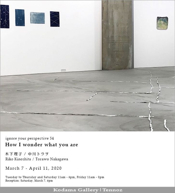 ignore your perspective 54「How I wonder what you are」