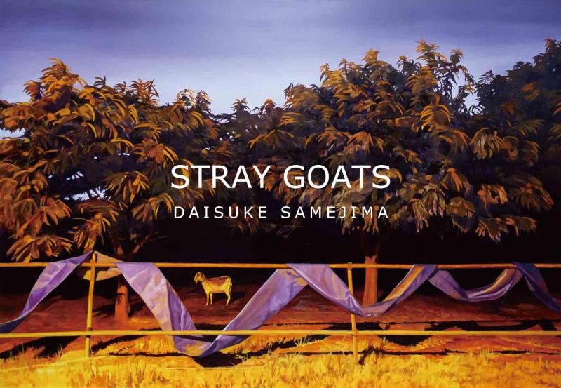 鮫島大輔個展　STRAY GOATS