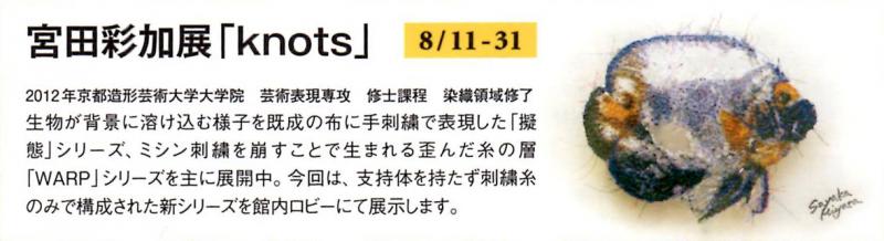 宮田彩加 個展　「Knots」