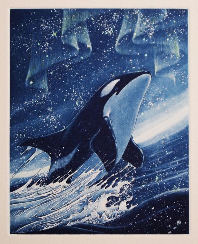坪井富佐乃 銅版画展