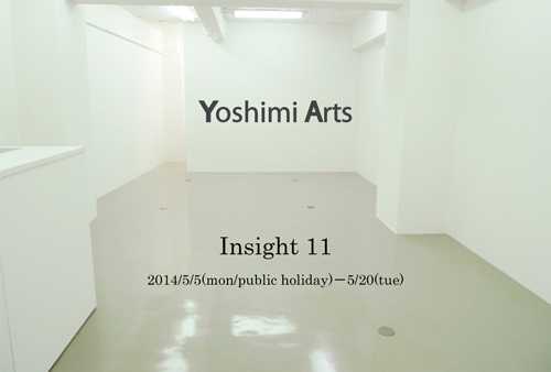 Insight 11