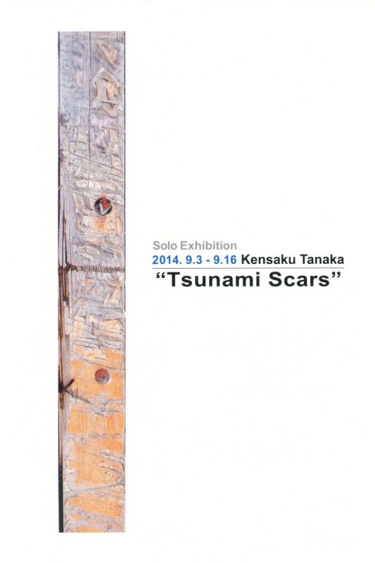 田中健作　個展　”Tsunami Scars”
