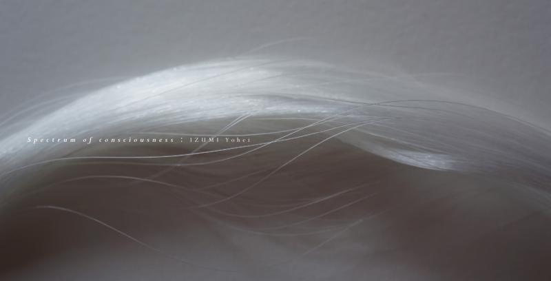 意識のスペクトル : 泉 洋平個展