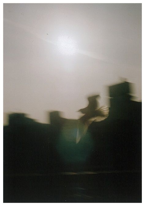 issi写真展 「光の波間に」