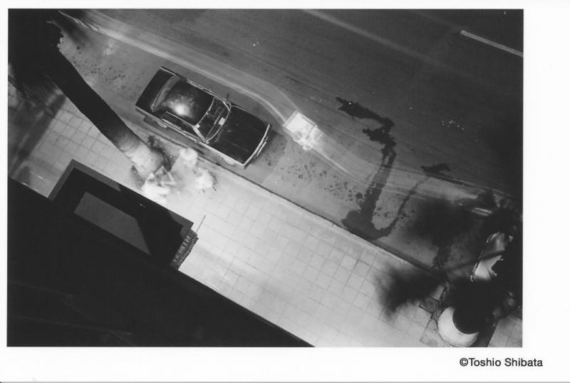 Our Favorites Part.2 - Photograph and Painting -