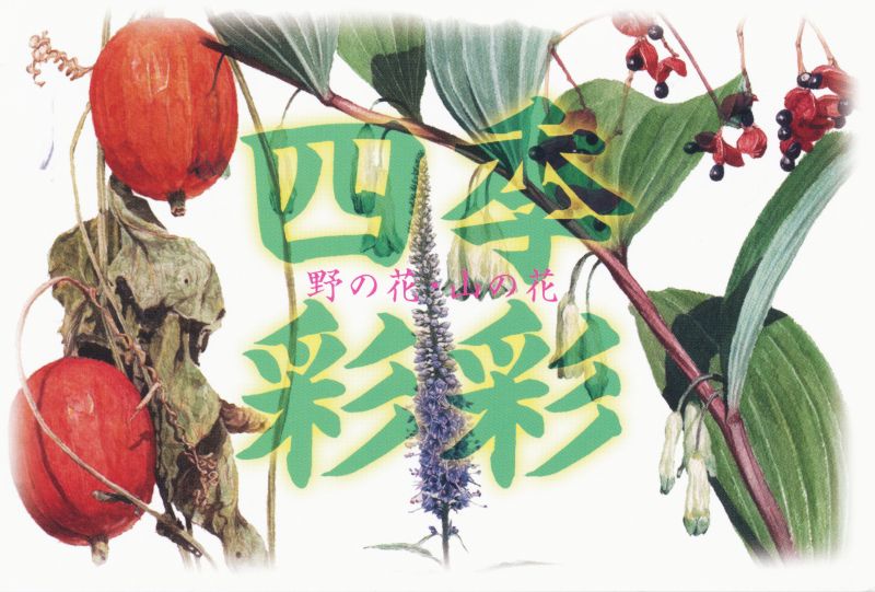 杉本俊夫展 「四季彩彩 野の花・山の花」