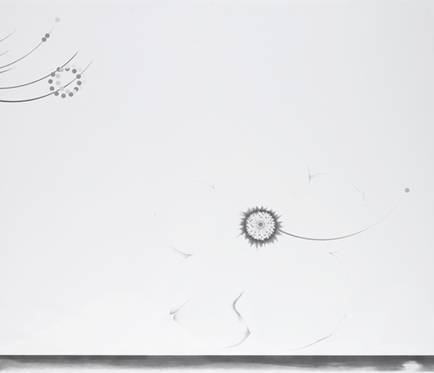 「佐伯洋江」展