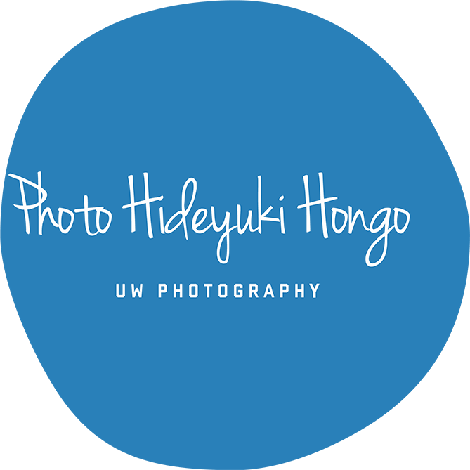 Photo Hideyuki Hongo