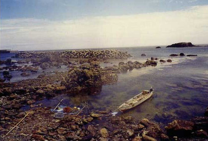 鈴木郁子写真展　新潟小樽・浮遊