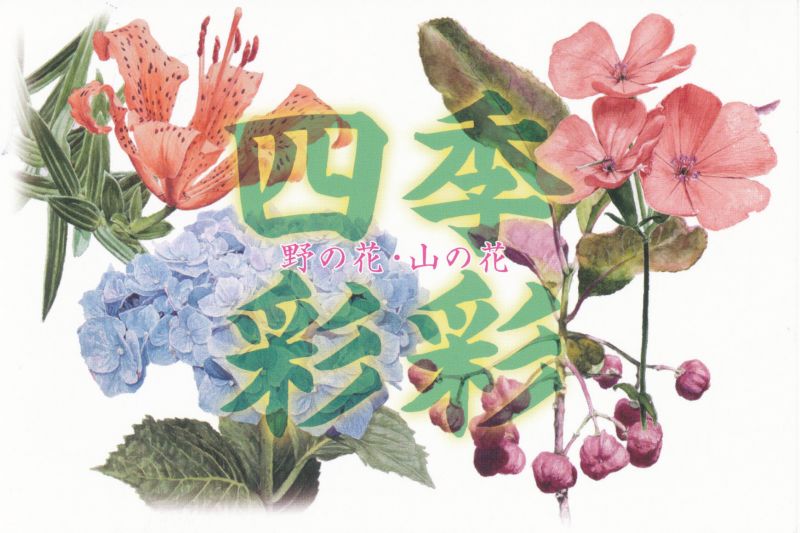 杉本俊夫展　四季彩彩　野の花・山の花