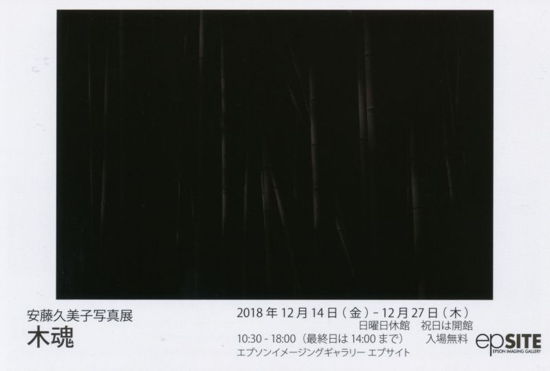 安藤久美子写真展　木魂