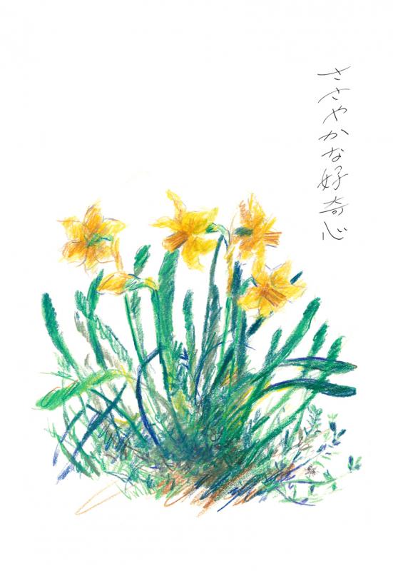 ささやかな好奇心