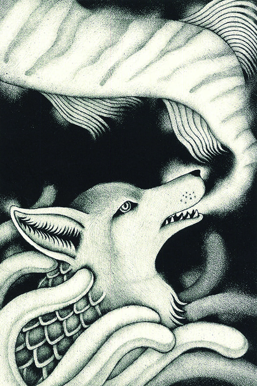 Metamorphose Kawai Shoko Exhibition
