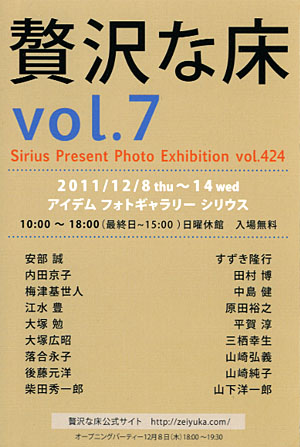 贅沢な床7