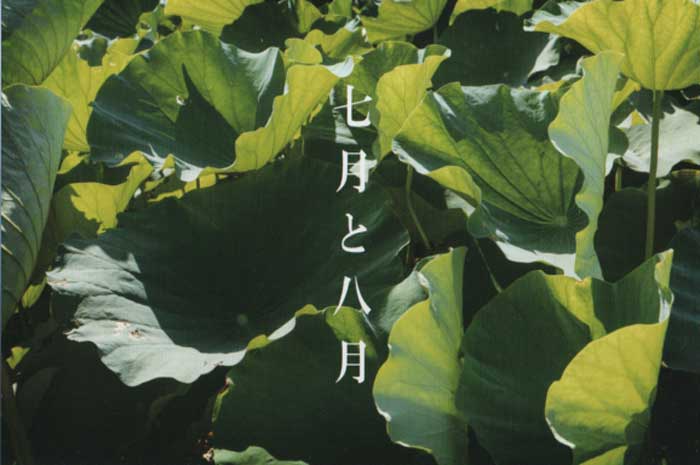 西島善和　写真展「七月と八月」