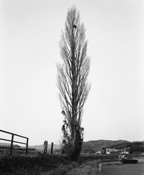 林 直 写真展 " きおくの記録 "