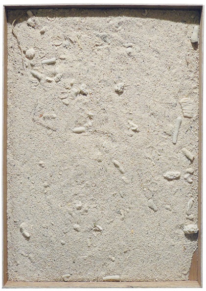 田辺修展 －大地－　TANABE Osamu Exhibition