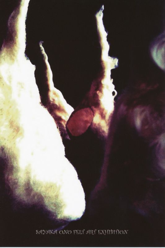 小野彩香展　su.mi.ca　FELT ART INSTALLATION