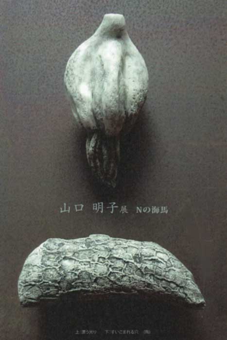 山口明子展　「Nの海馬」