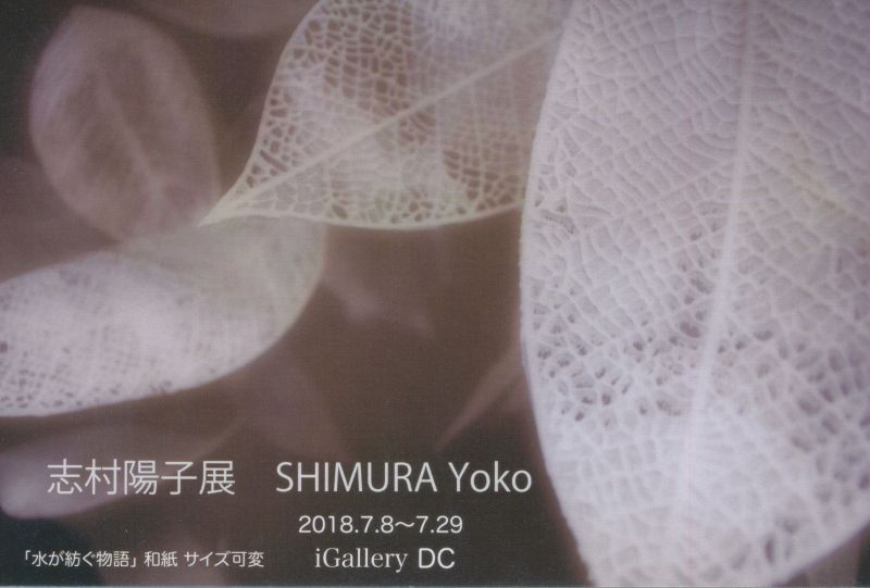 志村陽子展