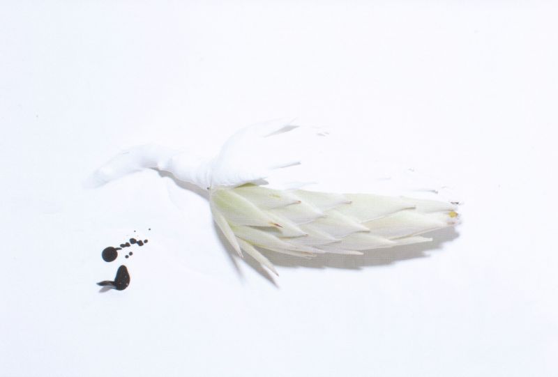 前芝良紀　写真展