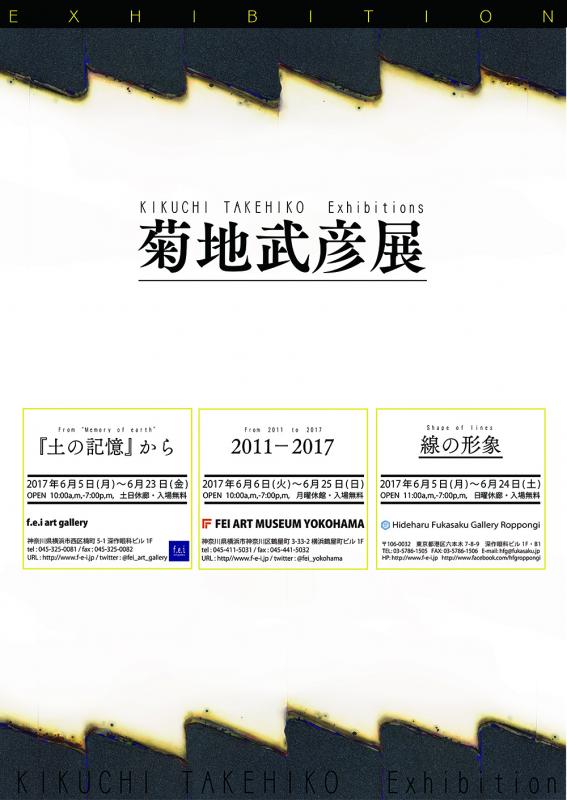 菊地武彦展「線の形象」