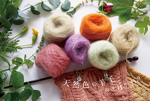 七字良枝 草木染展　天然色の羊毛